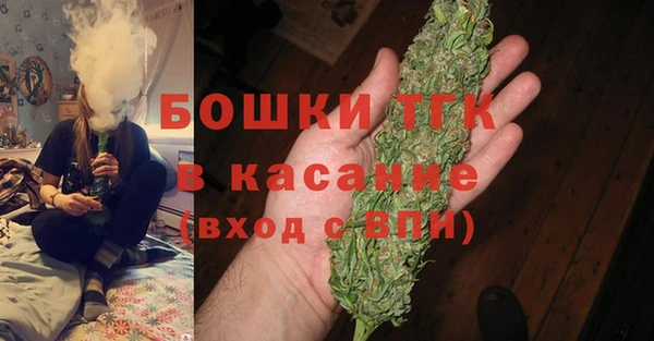 дживик Богородицк