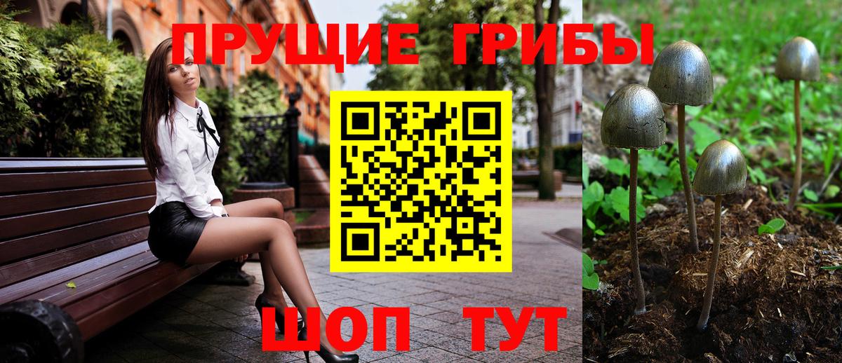 купить наркотик  Галлюциногенные грибы прущие грибы  Вход с VPN  Реж 