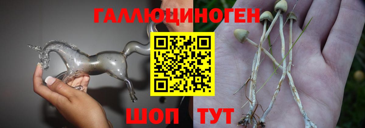 Псилоцибиновые грибы ЛСД Реж