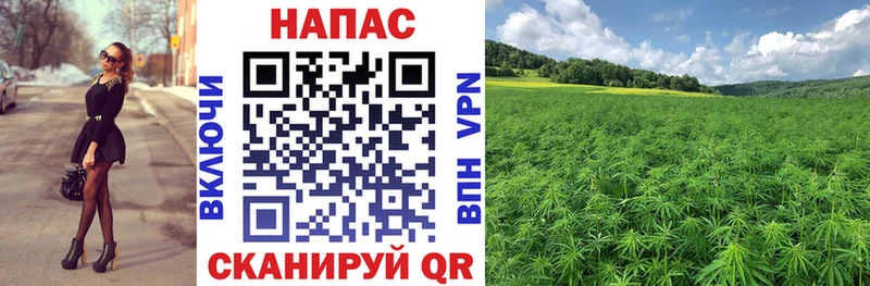 kraken сайт Реж Бошки марихуана план